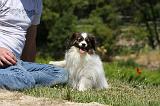 ADULTE ET CHIEN 247